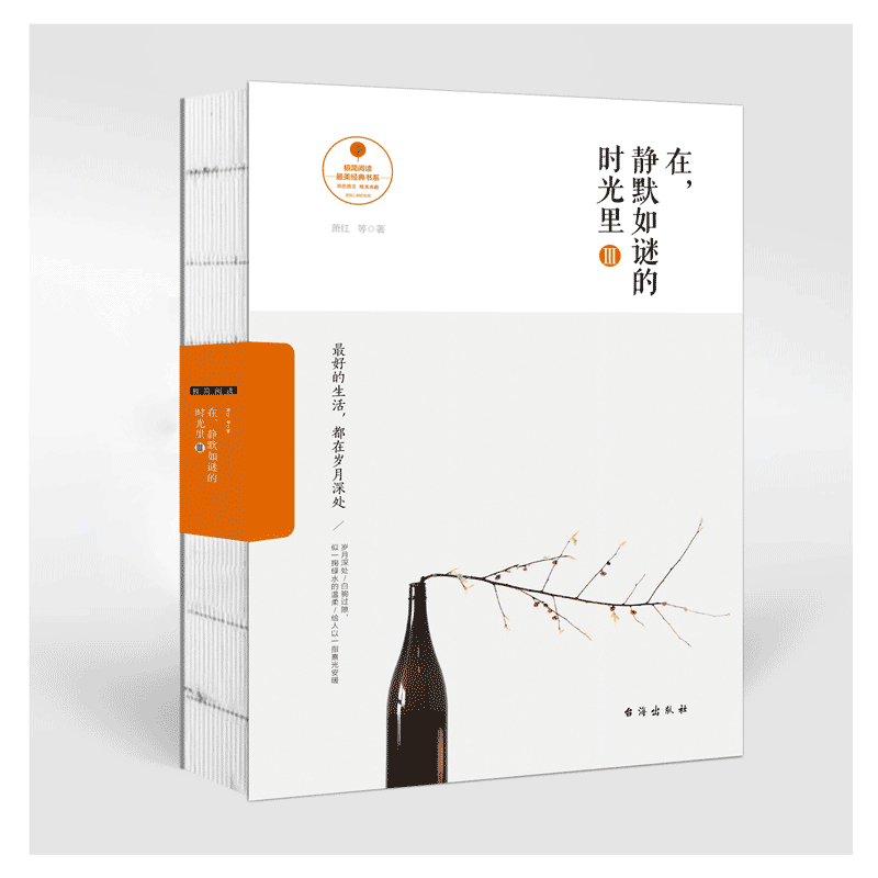 在,静默如谜的时光里.3,最好的生活,都在岁月深处