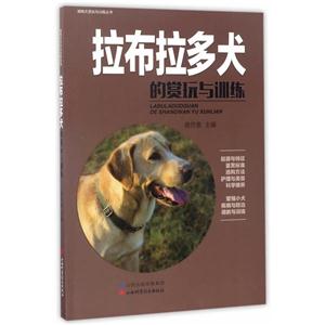 拉布拉多犬的赏玩与训练