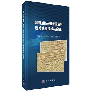 渤海油田三维地震资料连片处理技术与实践