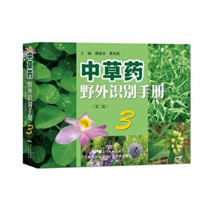вˎҰReփ-3-(ڶ)