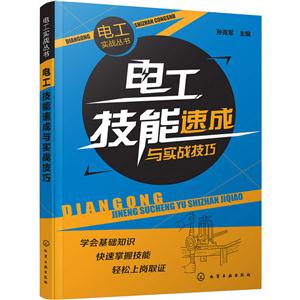 电工技能速成与实战技巧