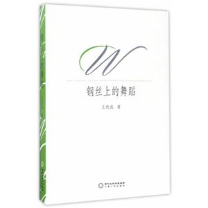 钢丝上的舞蹈
