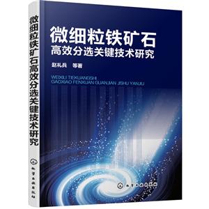 微细粒铁矿石高效分选关键技术研究
