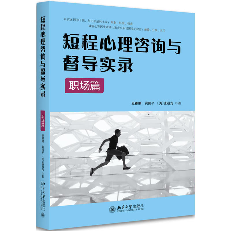 短程心里咨询与督导实录