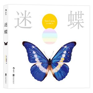 迷蝶:赏自然之大美,探生命之秘境