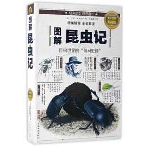 图解昆虫记-全彩图解典藏版
