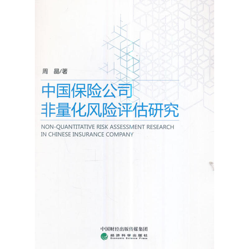 中国保险公司非量化风险评估研究