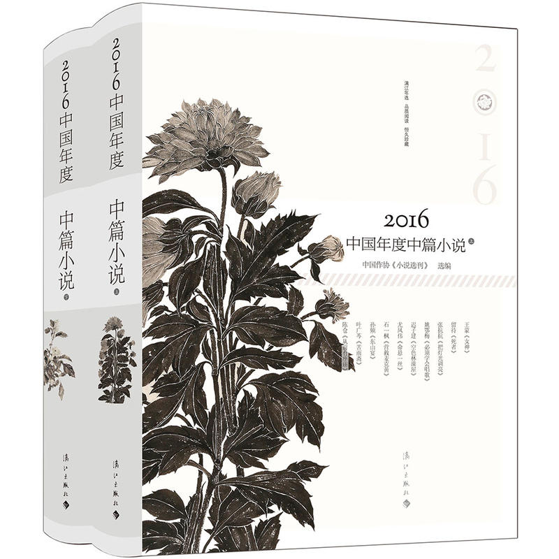 2016-中国年度中篇小说-(上下)