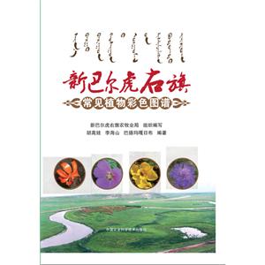 中国农业科学技术出版社新巴尔虎右旗常见植物彩色图谱