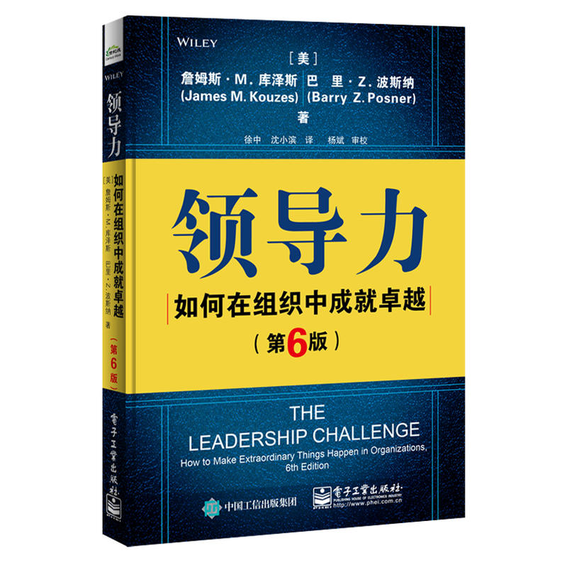 领导力:如何在组织中成就卓越(第6版)