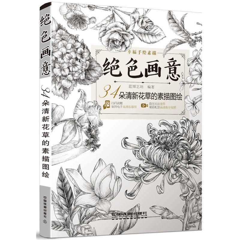 绝色画意  34朵清新花草的素描图绘