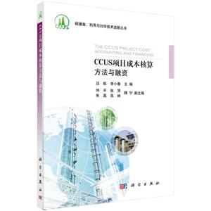 碳捕集、利用与封存技术进展丛书CCUS项目成本核算方法与融资
