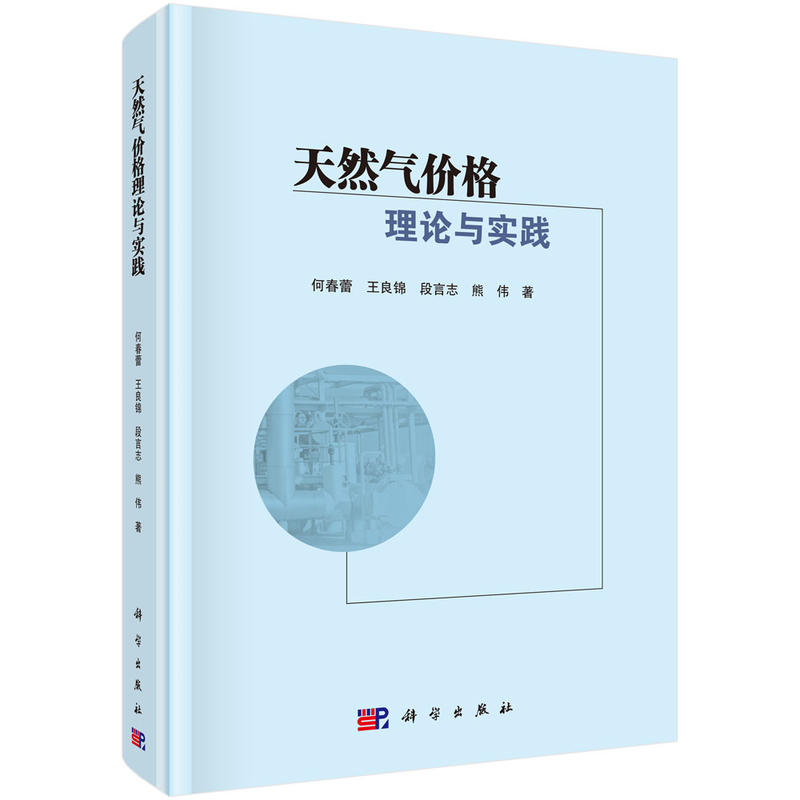 天然气价格理论与实践