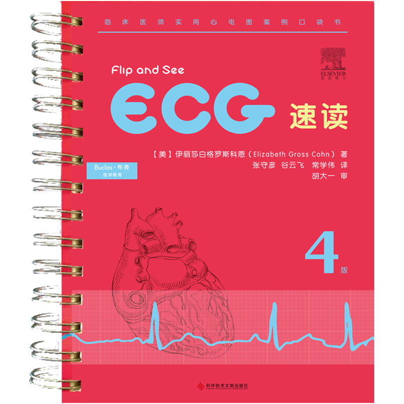 ECG速度