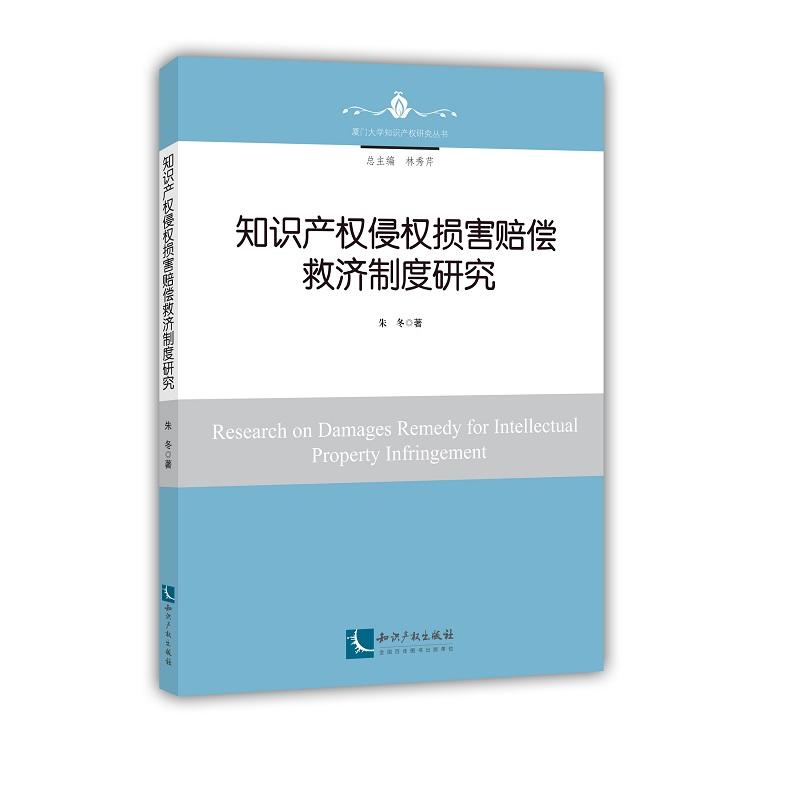 知识产权侵权损害赔偿救济制度研究