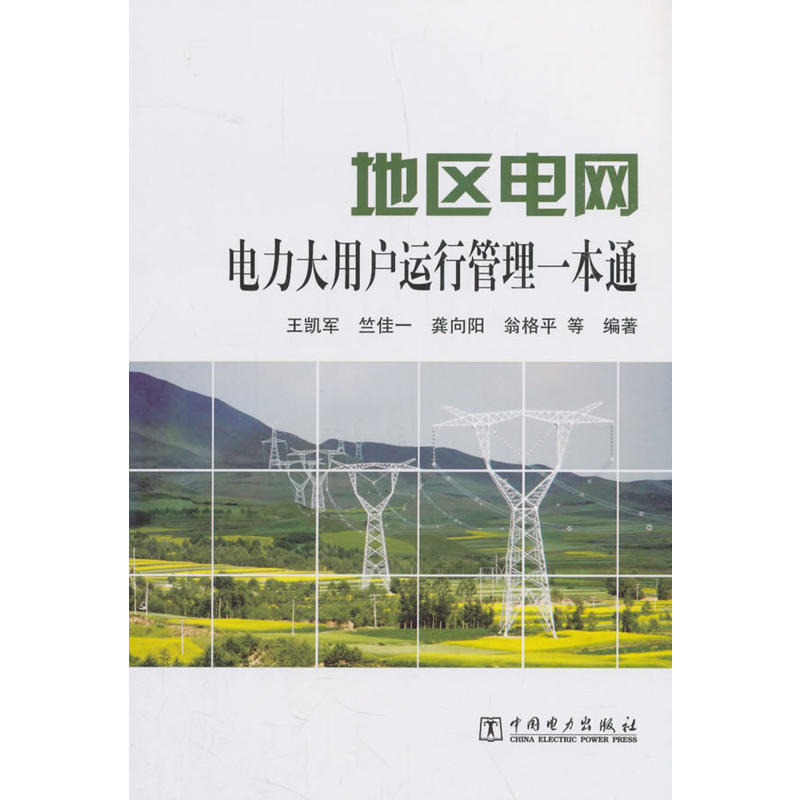 中国电力出版社地区电网电力大用户运行管理一本通
