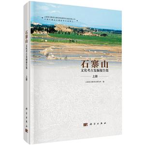 石寨山文化考古发掘报告集(上下册)