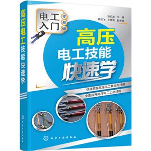 高压电工技能快速学-电工入门零基础