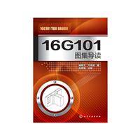 16G101Dx