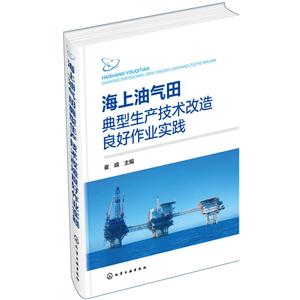 海上油气田典型生产技术改造良好作业实践