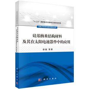 硅基纳米结构材料