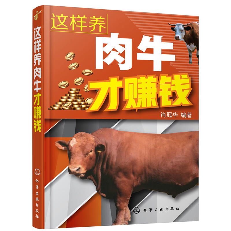 这样养肉牛才赚钱