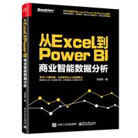 ExcelPower BI:̘Iܔ