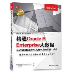 精通Oracle R Enterprise大数据 在Oracle数据库中充分利用R的强大功能
