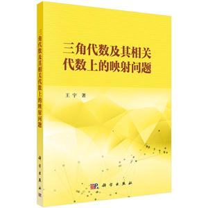 三角代数及其相关代数上的映射问题