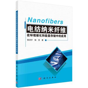 电纺纳米纤维-在环境催化和能量存储中的应用