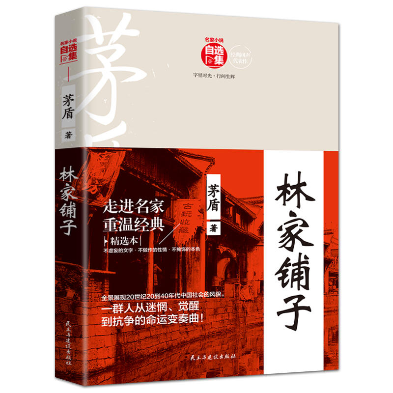 名家小说自选集:林家铺子