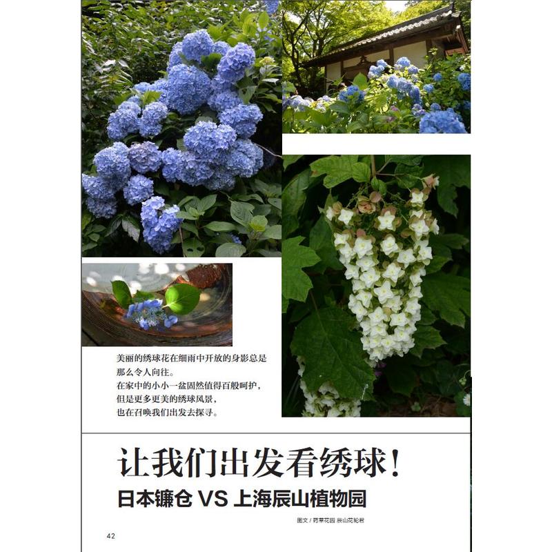 GARDEN MOOK花园绣球号