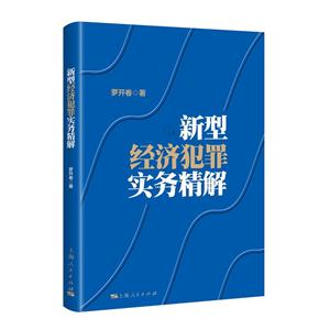 新型经济犯罪实务精解