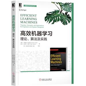 高效机器学习理论.算法及实践