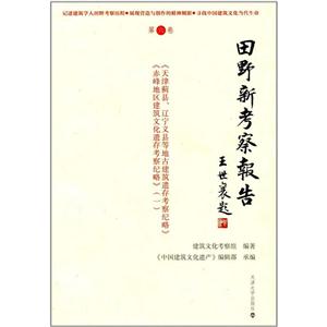 田野新考察报告-第六卷