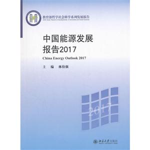 017-中国能源发展报告"