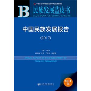 017-中国民族发展报告-2017版"