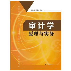 审计学原理与实务