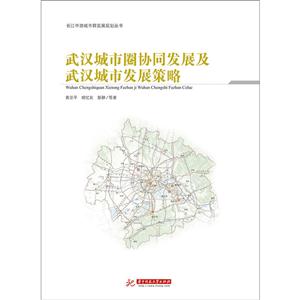 武汉城市圈协同发展及武汉城市发展策略