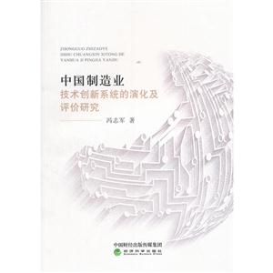 中国制造业技术创新系统的演化及评价研究