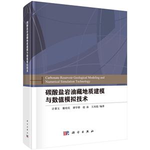 碳酸盐岩没藏地质建模与数值模拟技术