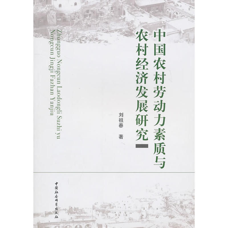 中国农村劳动力素质与农村经济发展研究