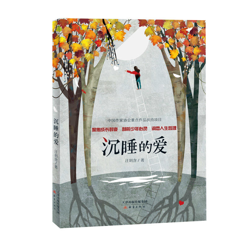 中国当代儿童长篇小说:沉睡的爱