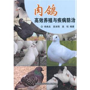 肉鸽高效养殖与疾病防治