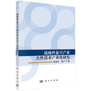 战略性新兴产业共性技术产业化研究