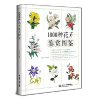 1000NbpDb