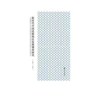 新时期中国民族地区发展调查研究