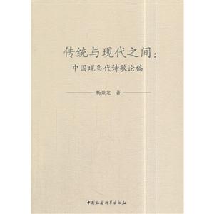 传统与现代之间:中国现当代诗歌论稿