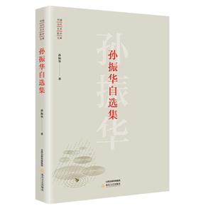 中国当代艺术批评文库:孙振华自选集