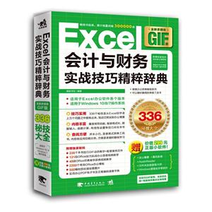 Excel会计与财务实战技巧精粹辞典(全新多媒体GIF版)